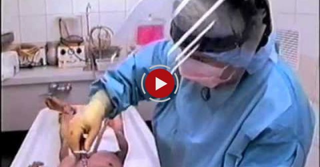 The Embalming Process