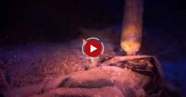 Dead Diver, Blue Hole, Dahab. Depth 112 M (367 Feet)