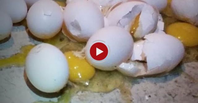Costco Doesn’t Want You To Know What's Wrong With These Eggs