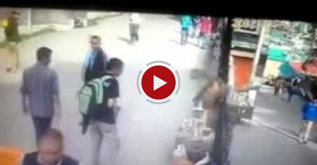 Boy Shows Middle Finger To Monkey. What Happened Next Will Put You In Stitches!