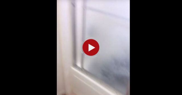 Lena The Rottweiler LOVES To Take Showers!