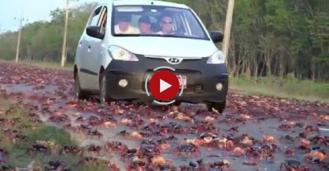 Spectacular Nature Of Cuba