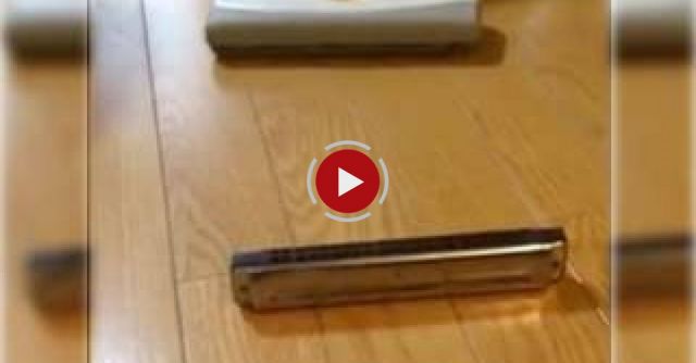 A Vacuum Cleaner Meets A Harmonica In Japan