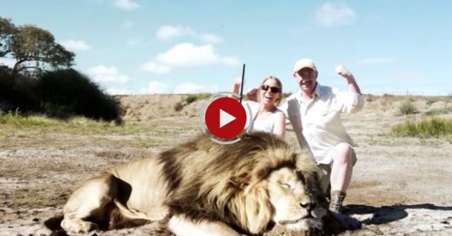 Lion Takes Revenge On Trophy Hunter! [LEAKED VIDEO]