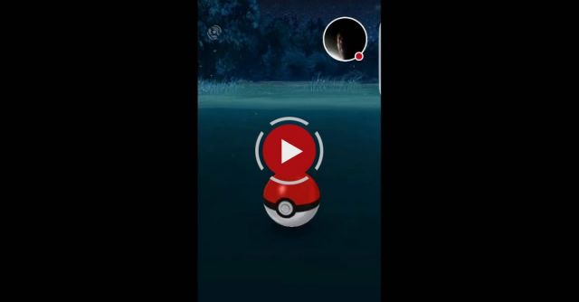 Man Falls In Pond Playing Pokemon GO