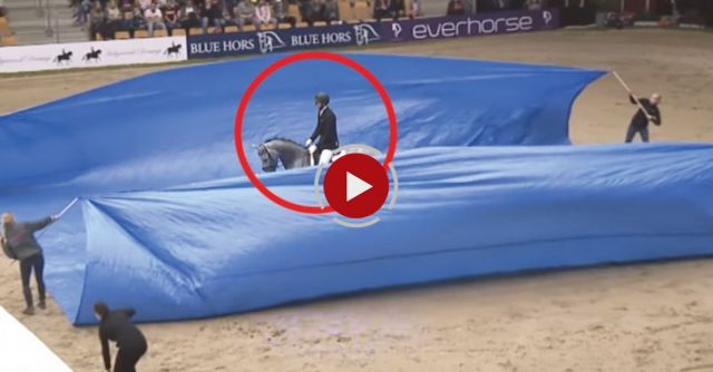 Will Rogers & Esmeralda. Total Trust