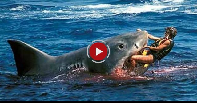 The Most Dangerous Beaches In The World