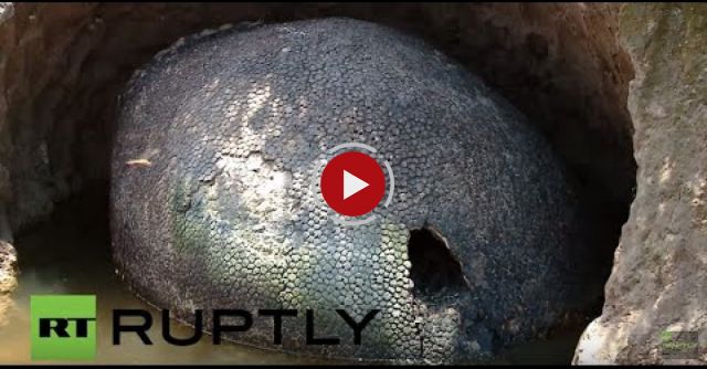 Argentina: Farmer Discovers 10,000-year-old Glyptodon Fossil In Ezeiza