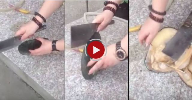 Lucky Woman Opened A Clam And Found THESE Inside!