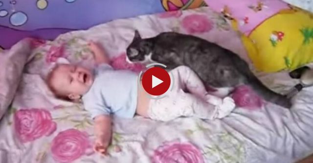 A baby is crying desperately - Just watch what the cat does!