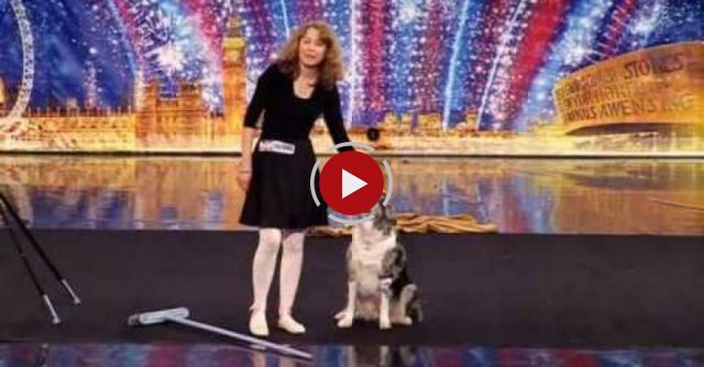 At first the judges were not too sure, but then the dog's performance changed everything!!