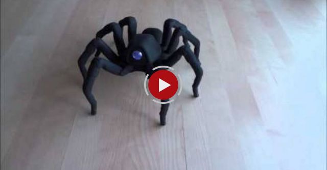 Robot spider dancing salsa and rumba !